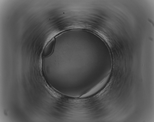 X0000091641179200709131425