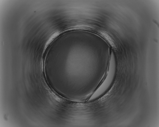 X0000091641180200709131425