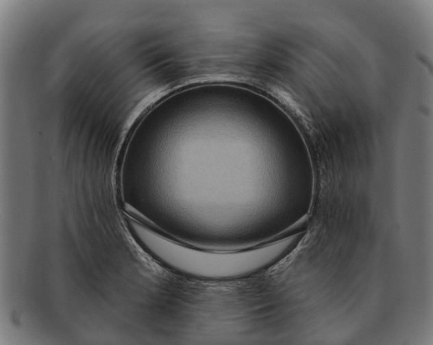 X0000091641181200709131425
