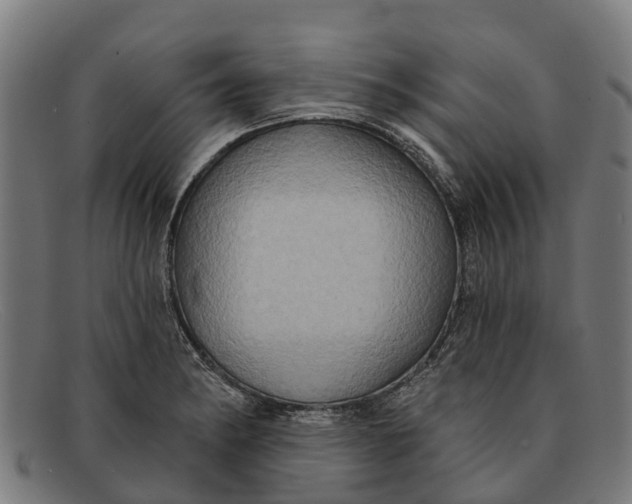 X0000091641182200709131425