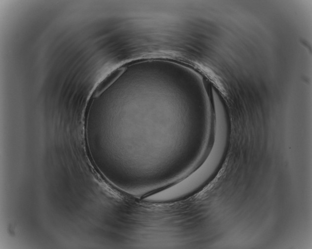 X0000091641184200709131425