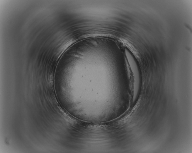 X0000091641185200709131425