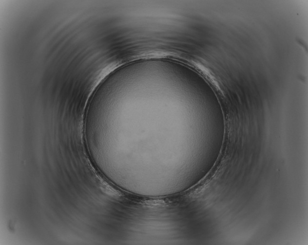X0000091641186200709131425