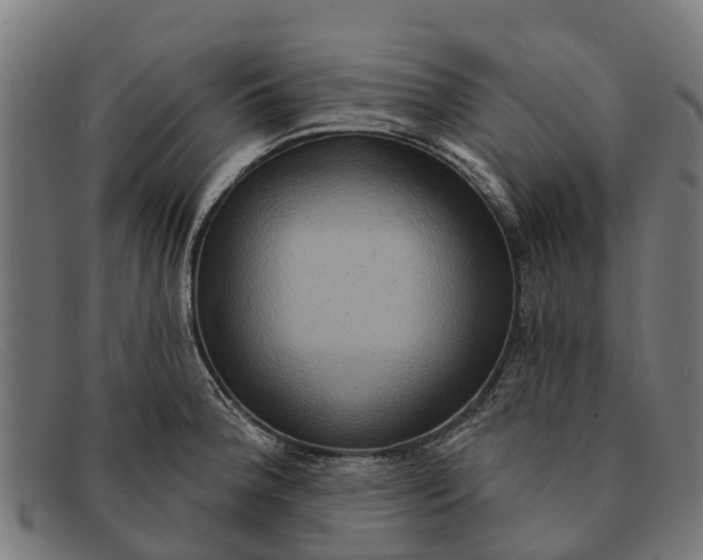 X0000091641188200709131425