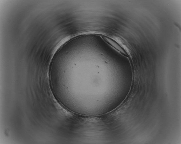 X0000091641189200709131425