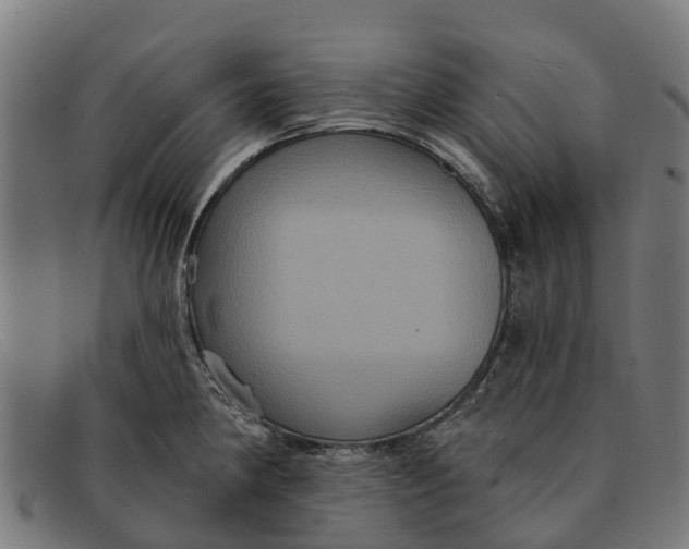 X0000091641190200709131425