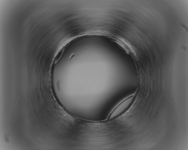 X0000091641192200709131425