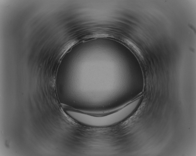 X0000091641193200709131425