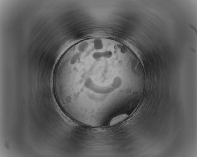 X0000091641195200709131425
