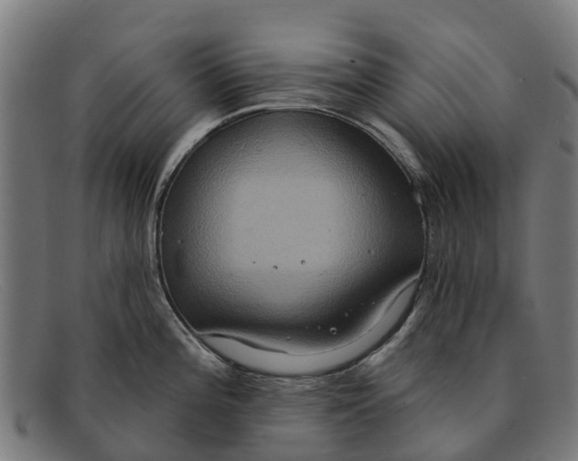 X0000091641196200709131425