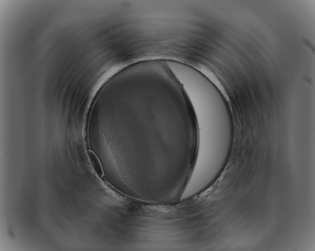X0000091641197200709131425