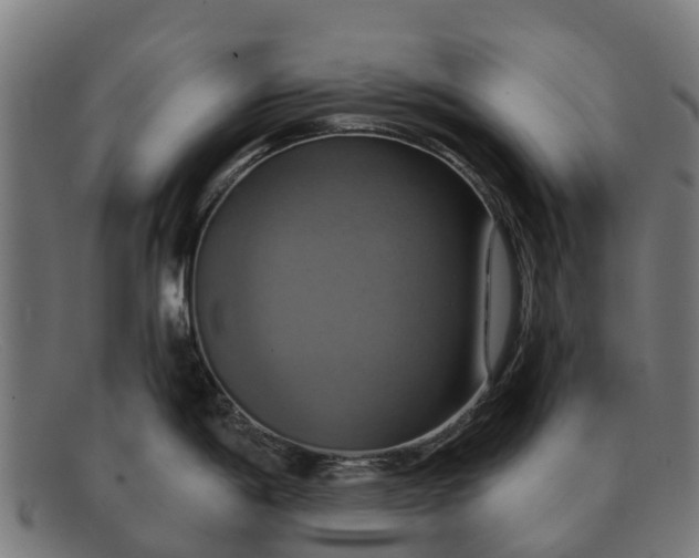 X0000091641198200709131425
