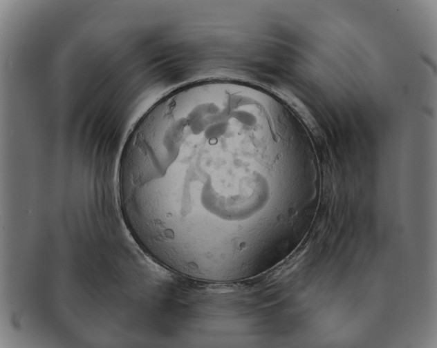 X0000091641199200709131425