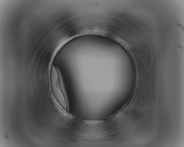 X0000091641200200709131425
