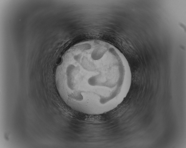 X0000091641201200709131425