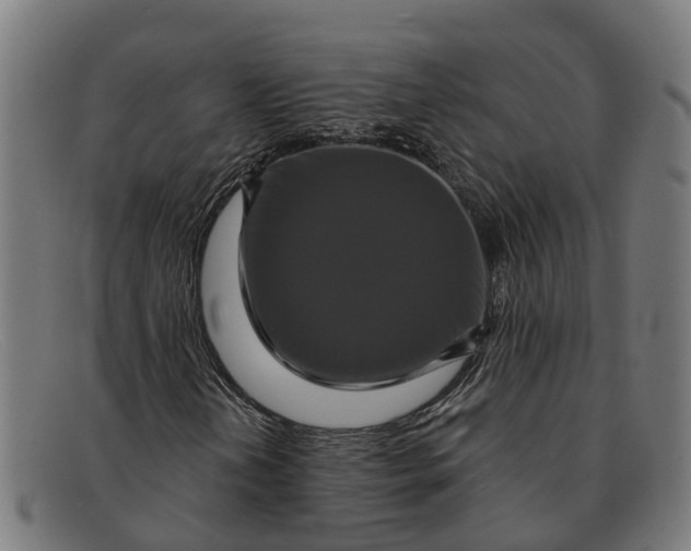 X0000091641202200709131425