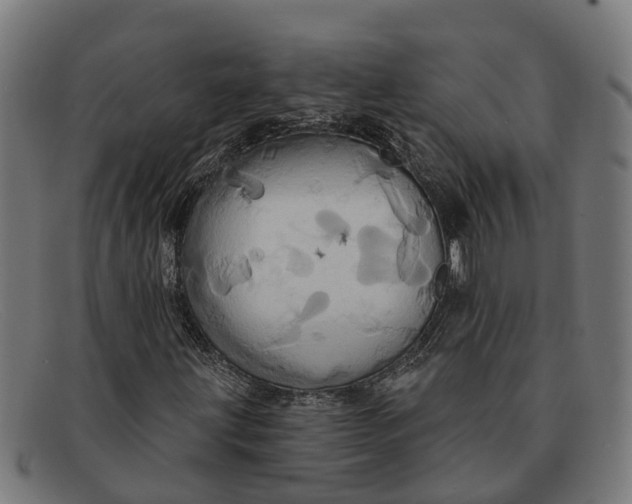 X0000091641203200709131425