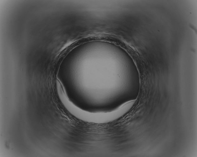 X0000091641206200709131425