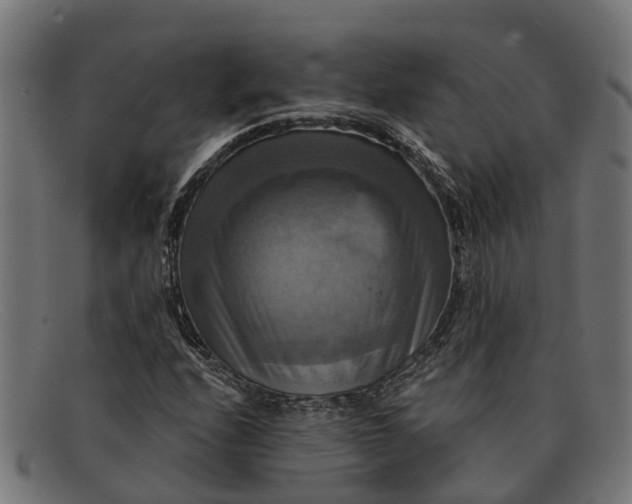 X0000091641208200709131425
