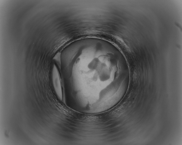 X0000091641209200709131425
