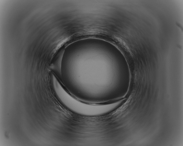 X0000091641210200709131425