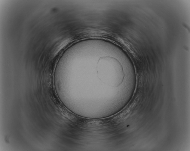 X0000091641211200709131425