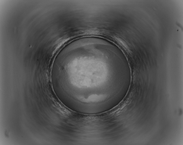 X0000091641212200709131425