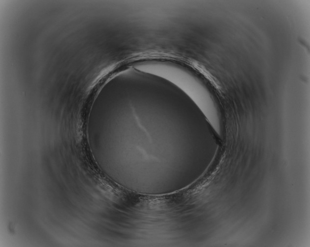 X0000091641213200709131425