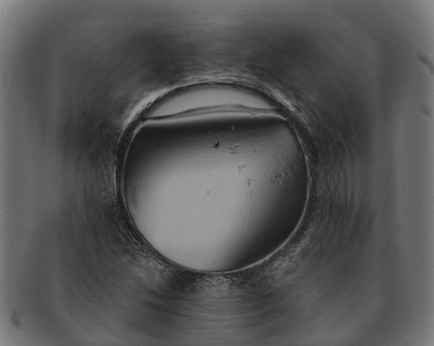 X0000091641214200709131425