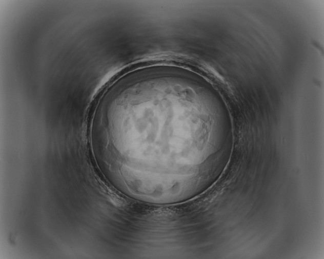 X0000091641216200709131425