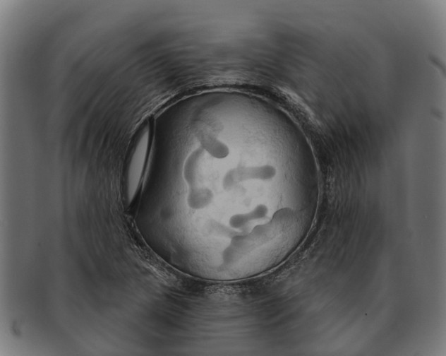 X0000091641217200709131425