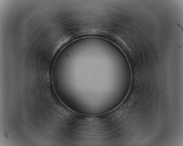 X0000091641218200709131425