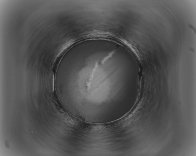 X0000091641219200709131425