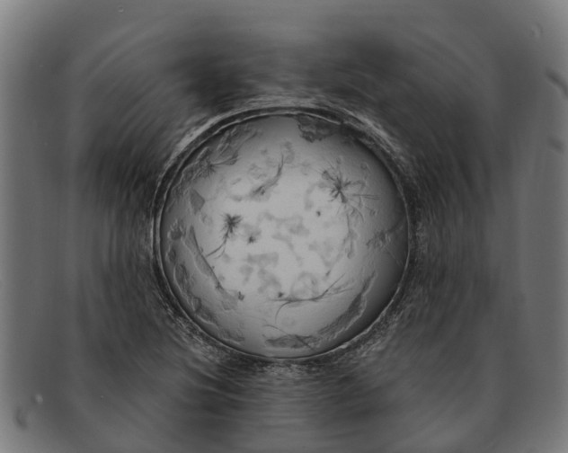 X0000091641220200709131425