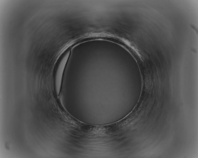 X0000091641221200709131425