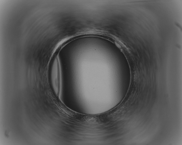 X0000091641222200709131425