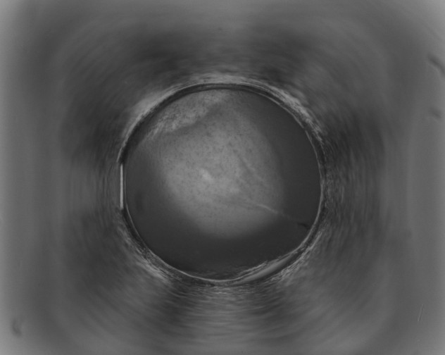 X0000091641223200709131425