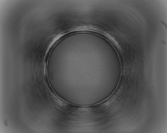 X0000091641224200709131425