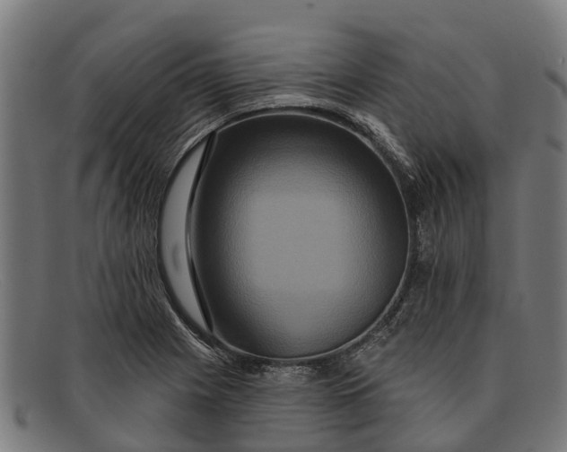 X0000091641225200709131425