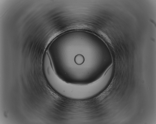X0000091641226200709131425