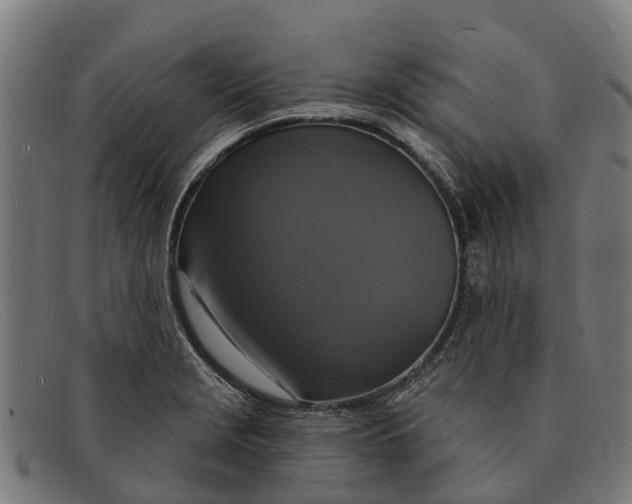 X0000091641229200709131425