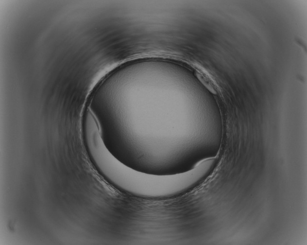 X0000091641230200709131425