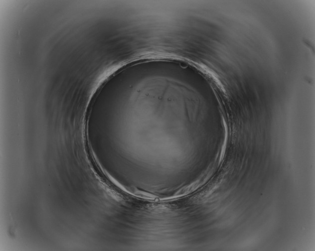 X0000091641231200709131425
