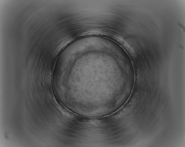 X0000091641233200709131425