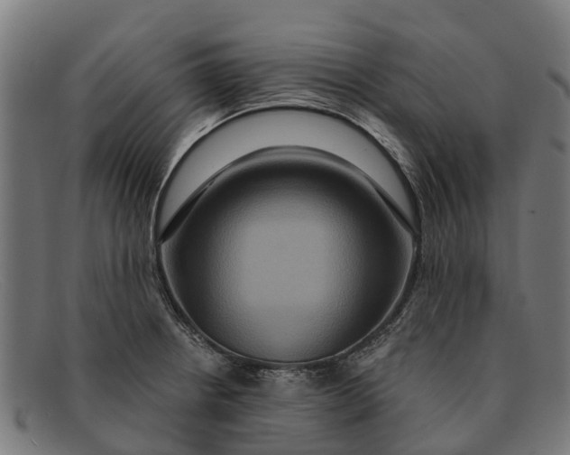 X0000091641234200709131425