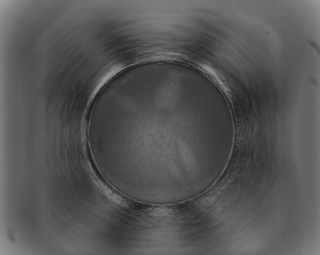 X0000091641235200709131425
