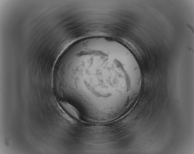 X0000091641236200709131425