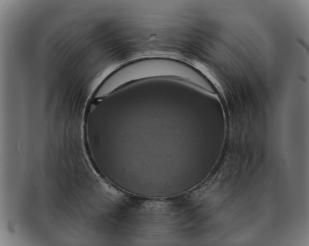 X0000091641237200709131425