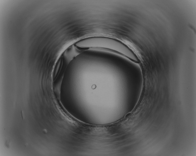 X0000091641238200709131425