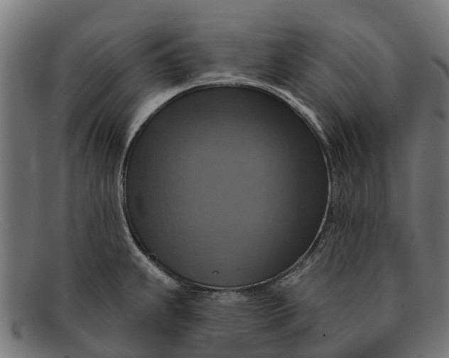 X0000091641239200709131425